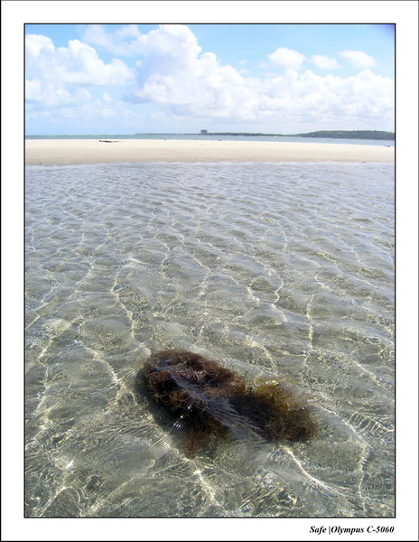 2005 - 11 - Itamaraca - coroa do aviao 22.JPG